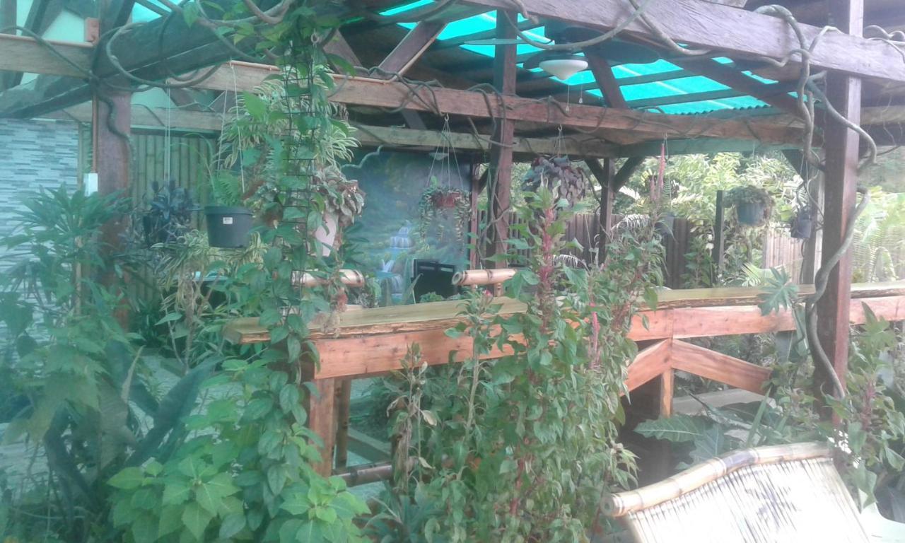 Jungle Of Peace Resort Siquijor Exterior photo