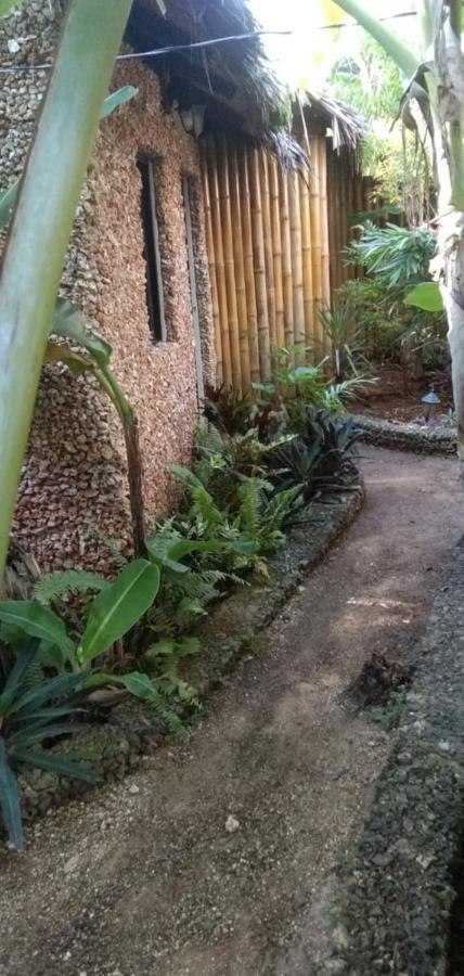Jungle Of Peace Resort Siquijor Exterior photo