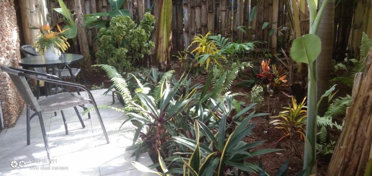 Jungle Of Peace Resort Siquijor Exterior photo