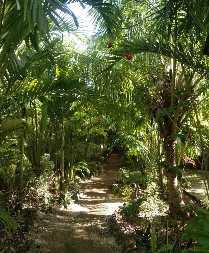 Jungle Of Peace Resort Siquijor Exterior photo